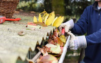 Herbstlaub in der Regenrinne – eine unterschätzte Gefahr